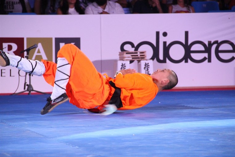 Martial Arts Festival